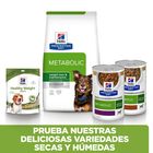 Hill's Prescription Diet Metabolic cordero y arroz pienso para perros, , large image number null